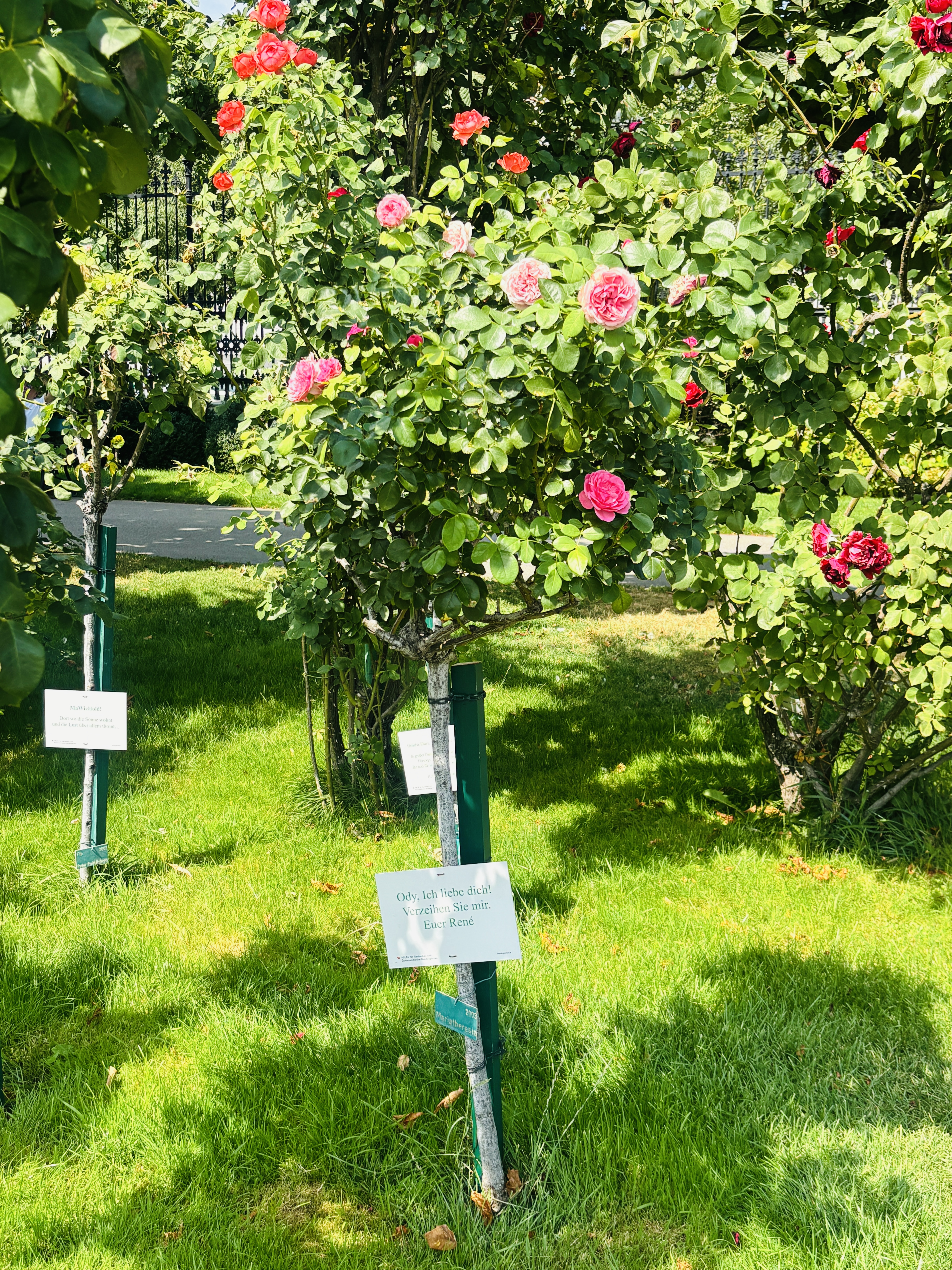 Volksgarten Vienna